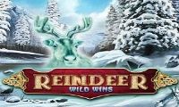 Reindeer Wild Wins by Genesis Gaming