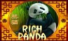 Rich Panda slot game