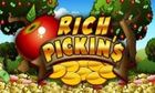 Rich Pickins slot game