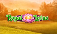 Royal Lotus slot by Novomatic