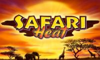 Safari Heat slot by Playtech