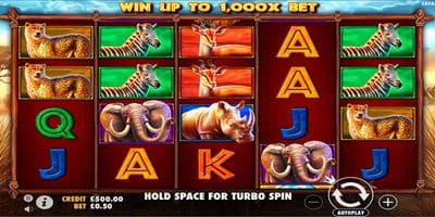 Safari King screenshot