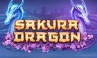Sakura Dragon slot game