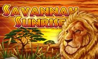 Savannah Sunrise by Cryptologic
