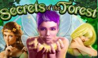 Secrets Of The Forest by High 5 Games