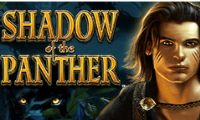 Shadow Of The Panther by High 5 Games