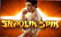 Shaolin Spin slot by iSoftBet