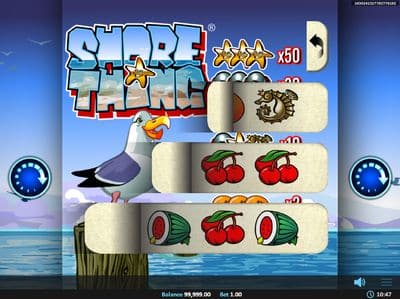 Shore Thing screenshot