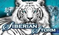 Siberian Storm slot by Igt