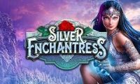 Silver Enchantress by High 5 Games