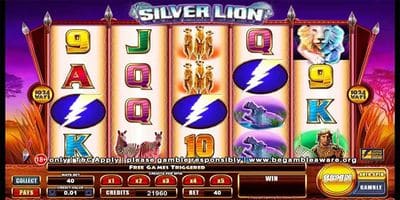 Silver Lion screenshot