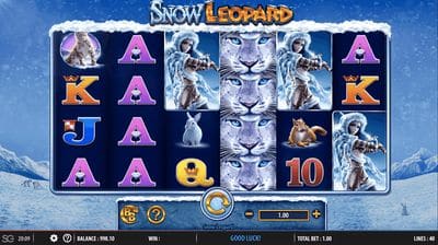 Snow Leopard screenshot
