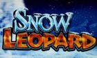 Snow Leopard slot game