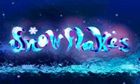 Snowflakes slot game