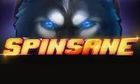 Spinsane slot game