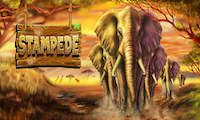 Stampede African Elephants