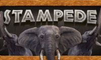 Stampede slot by Eyecon