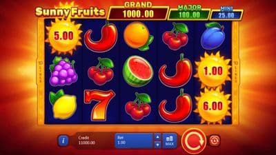 Sunny Fruits screenshot