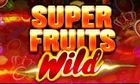 Super Fruits Wild slot game