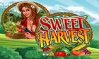 Sweet Harvest slot game