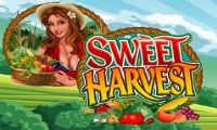 Sweet Harvest slot by Microgaming