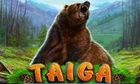 Taiga slot game