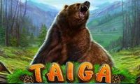 Taiga slot by Playson