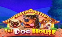 The Dog House slot by Pragmatic