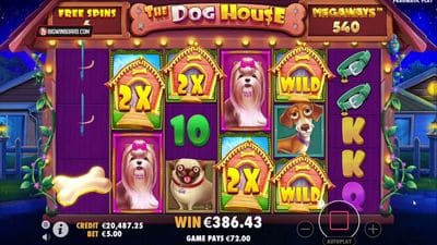 The Dog House Megaways game