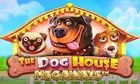 49. The Dog House Megaways slot game