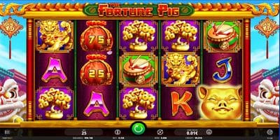 The Fortune Pig screenshot