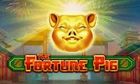 The Fortune Pig slot game