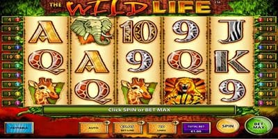 The Wildlife screenshot