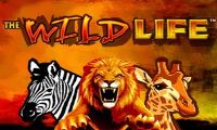 The Wildlife slot by Igt