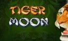 Tiger Moon slot game