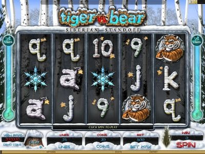 Tiger vs Bear screenshot