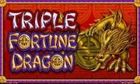 Triple Fortune Dragon slot game