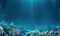 Undersea slots