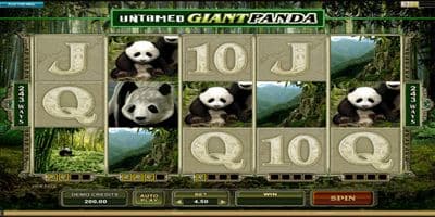 Untamed Giant Panda screenshot