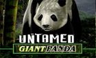 Untamed Giant Panda slot game