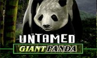 Untamed Giant Panda slot by Microgaming