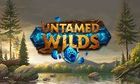 Untamed Wilds slot game