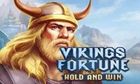 VIKINGS OF FORTUNE slot by Blueprint