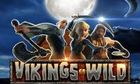 Vikings Go Wild slot game