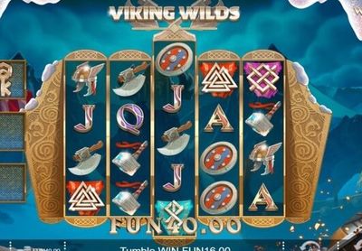 Viking Wilds screenshot
