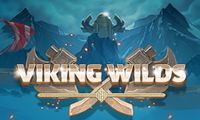 Viking Wilds by 1X2 Gaming
