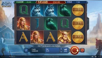 Vikings Fortune Hold And Win screenshot