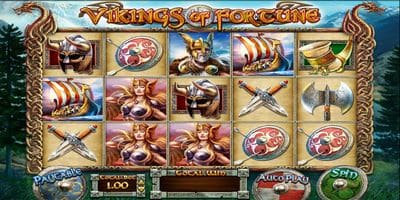 Vikings Of Fortune screenshot