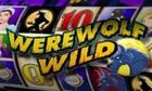 Werewolf Wild slot game