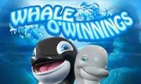 Whale O Winnings by Rival Gaming